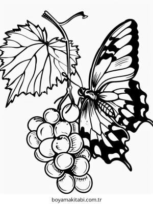 Üzümler boyama sayfası – çocuk aktivitesi, PDF indir