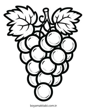 Üzümler boyama sayfası – yaratıcılık, eğlenceli etkinlik