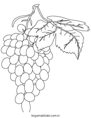 Üzümler boyama sayfası – renkli çizimler, okul öncesi
