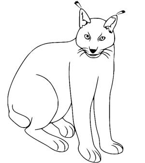 Vaşak boyama sayfası, Lynx coloring page, Basit şeyler, 