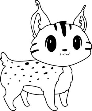 Vaşak boyama sayfası, Lynx coloring page, Yavru Vaşak, 