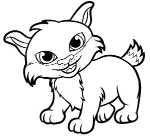 Vaşak boyama sayfası, Lynx coloring page, Sevimli Vaşak, 