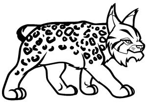 Vaşak boyama sayfası, Lynx coloring page, Cizgi film vaşağı, 