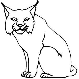 Vaşak boyama sayfası, Lynx coloring page, Oturan vaşak, 