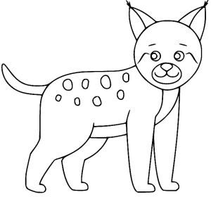 Vaşak boyama sayfası, Lynx coloring page, Gülümseyen Vaşak, 