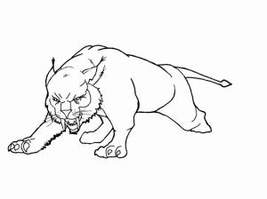 Vaşak boyama sayfası, Lynx coloring page, Vaşak kızgın, 