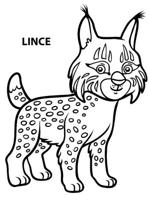 Vaşak boyama sayfası, Lynx coloring page, Bebek vaşak, 