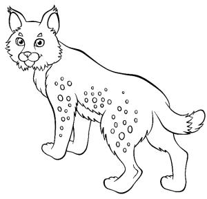 Vaşak boyama sayfası, Lynx coloring page, Gülümseyen Vaşak, 