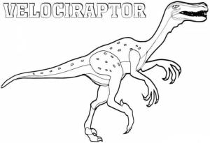 Velociraptor boyama sayfası,  coloring page, Velociraptorun kullanımı Ücretsiz, 