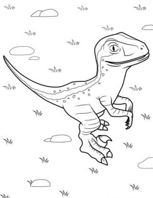 Velociraptor boyama sayfası,  coloring page, Güzel Velociraptor, 