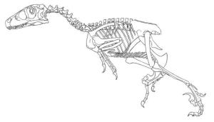 Velociraptor boyama sayfası,  coloring page, Velociraptor İskeleti, 