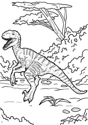 Velociraptor boyama sayfası,  coloring page, Velociraptor Avda, 