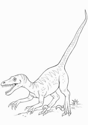 Velociraptor boyama sayfası,  coloring page, Atlamadan Önce Çömeldi, 