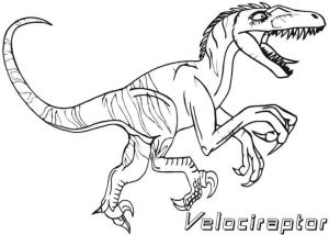 Velociraptor boyama sayfası,  coloring page, Dişlek ve Pençeli, 