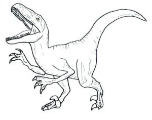Velociraptor boyama sayfası,  coloring page, Dinozor Velociraptor, 