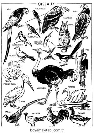 Vintage boyama sayfası – boyama etkinliği, çocuk aktivitesi