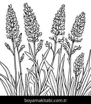 Yabani Çiçekler boyama sayfası,  coloring page, , 