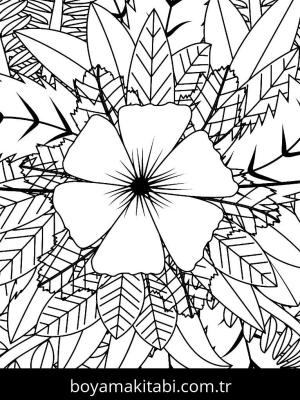 Yabani Çiçekler boyama sayfası,  coloring page, , 