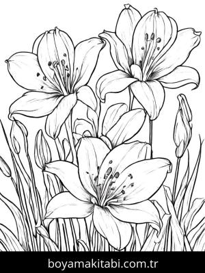 Yabani Çiçekler boyama sayfası,  coloring page, , 