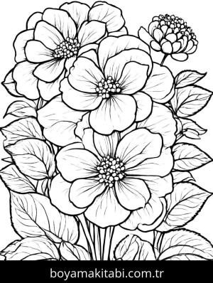 Yabani Çiçekler boyama sayfası,  coloring page, , 