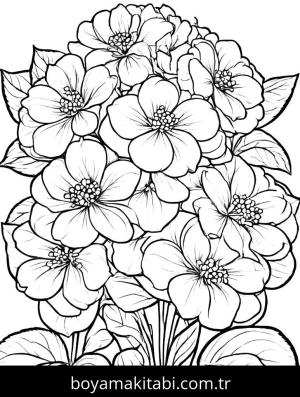 Yabani Çiçekler boyama sayfası,  coloring page, , 