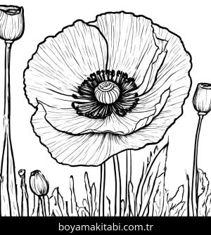 Yabani Çiçekler boyama sayfası,  coloring page, , 