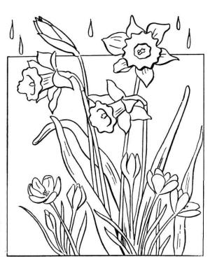 Yağmur boyama sayfası,  coloring page, Yağmurdaki çiçekler, 