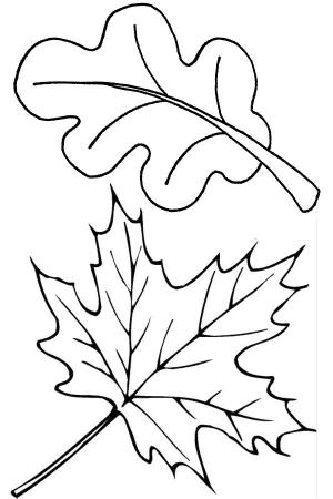 Yaprak boyama sayfası,  coloring page, Iki Yaprak, 