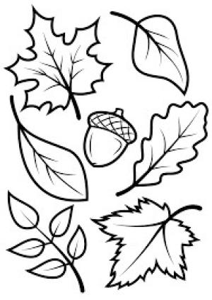 Yaprak boyama sayfası,  coloring page, Yapraklar Ve çam Kozalakları, 