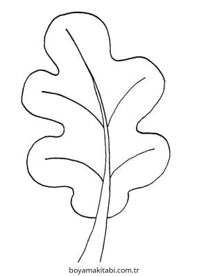 Yaprak Boyama