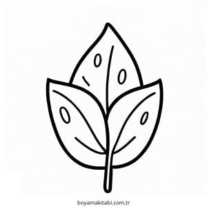 Yaprak Boyama