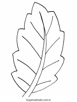 Yaprak Boyama