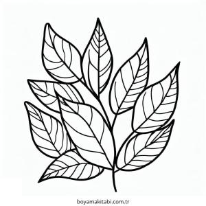 Yaprak Boyama
