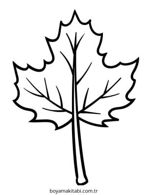 Yaprak boyama sayfası – keyifli zaman, renkli çizimler