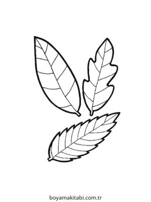 Yaprak Boyama