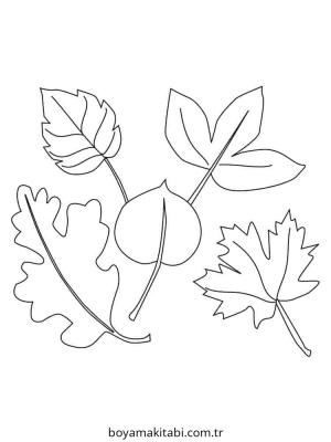Yaprak boyama sayfası – boyama çalışması, yaratıcılığı geliştirir