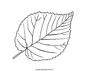 Yaprak boyama sayfası – çocuk aktivitesi, PDF indir