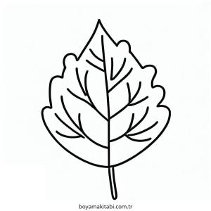 Yaprak Boyama