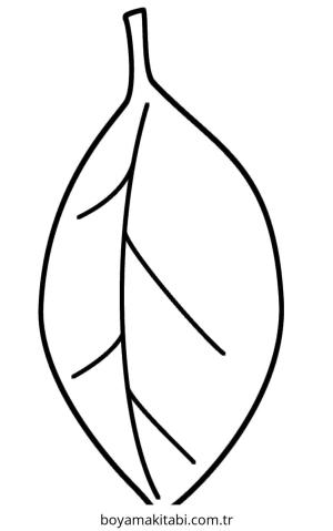 Yaprak boyama sayfası – renkli çizimler, okul öncesi