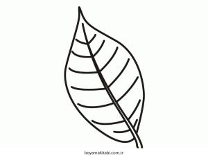 Yaprak boyama sayfası – çizgi film temalı, basit çizim