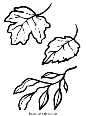 Yaprak boyama sayfası – basit çizim, kolay boyama