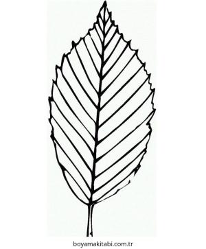 Yaprak boyama sayfası – çocuklar için, çizgi film temalı