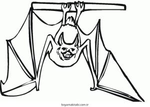 Yarasa boyama sayfası – sevimli karakter, sanatsal çalışma