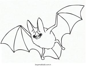 Yarasa Boyama Sayfaları