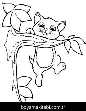 Yavru Kedi boyama sayfası,  coloring page, , Kitten Playing On The Tree