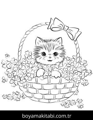 Yavru Kedi boyama sayfası,  coloring page, , Cute Kitten In Basket Of Shamrock
