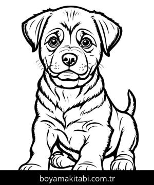 Yavru Köpek boyama sayfası,  coloring page, , 15)