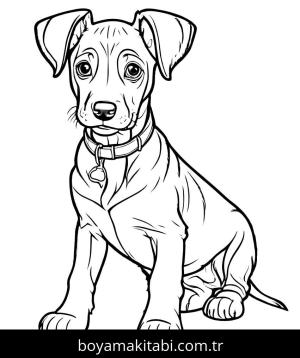 Yavru Köpek boyama sayfası,  coloring page, , 2)