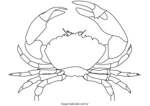 Yengeç boyama sayfası – çocuk aktivitesi, PDF indir