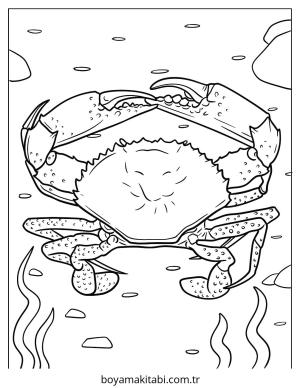 Yengeç boyama sayfası – evde etkinlik, ücretsiz yazdır